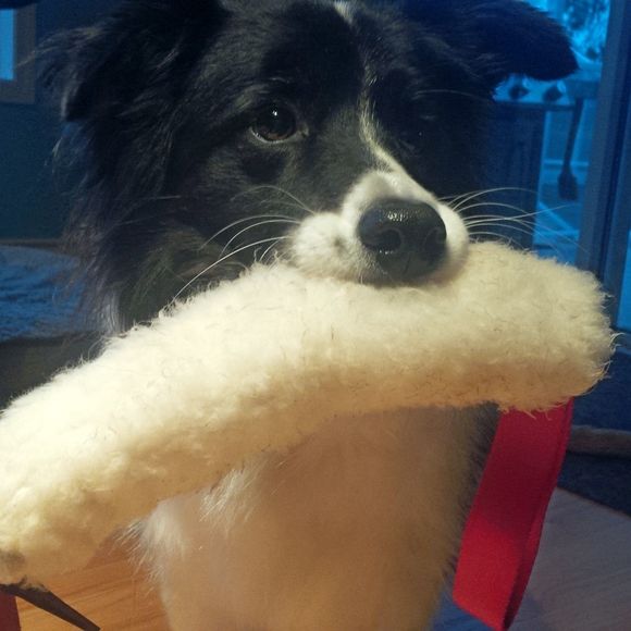 Meet your Posher, Martha Maria. - Picture 1 of 8